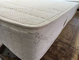 highest rated organic bed